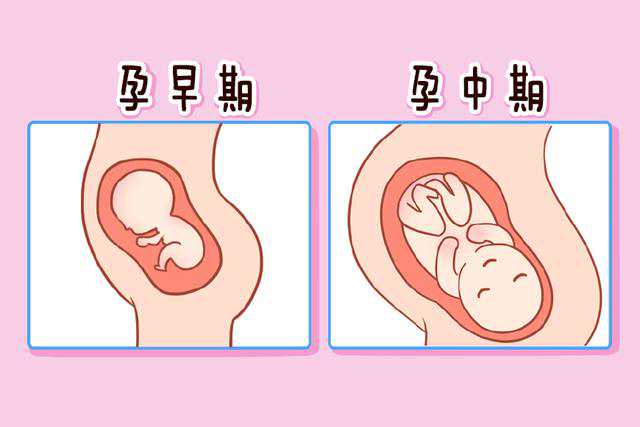 武汉最好的借卵试管子私立医院推荐，最新供卵试管收费标准公开